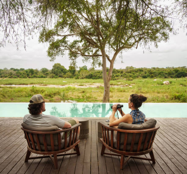 Best Luxury Safari Tours in Tanzania  2026